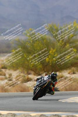 media/Apr-10-2022-SoCal Trackdays (Sun) [[f104b12566]]/Turn 5 Tree of Life (1040am)/